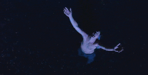 giphy (13).gif