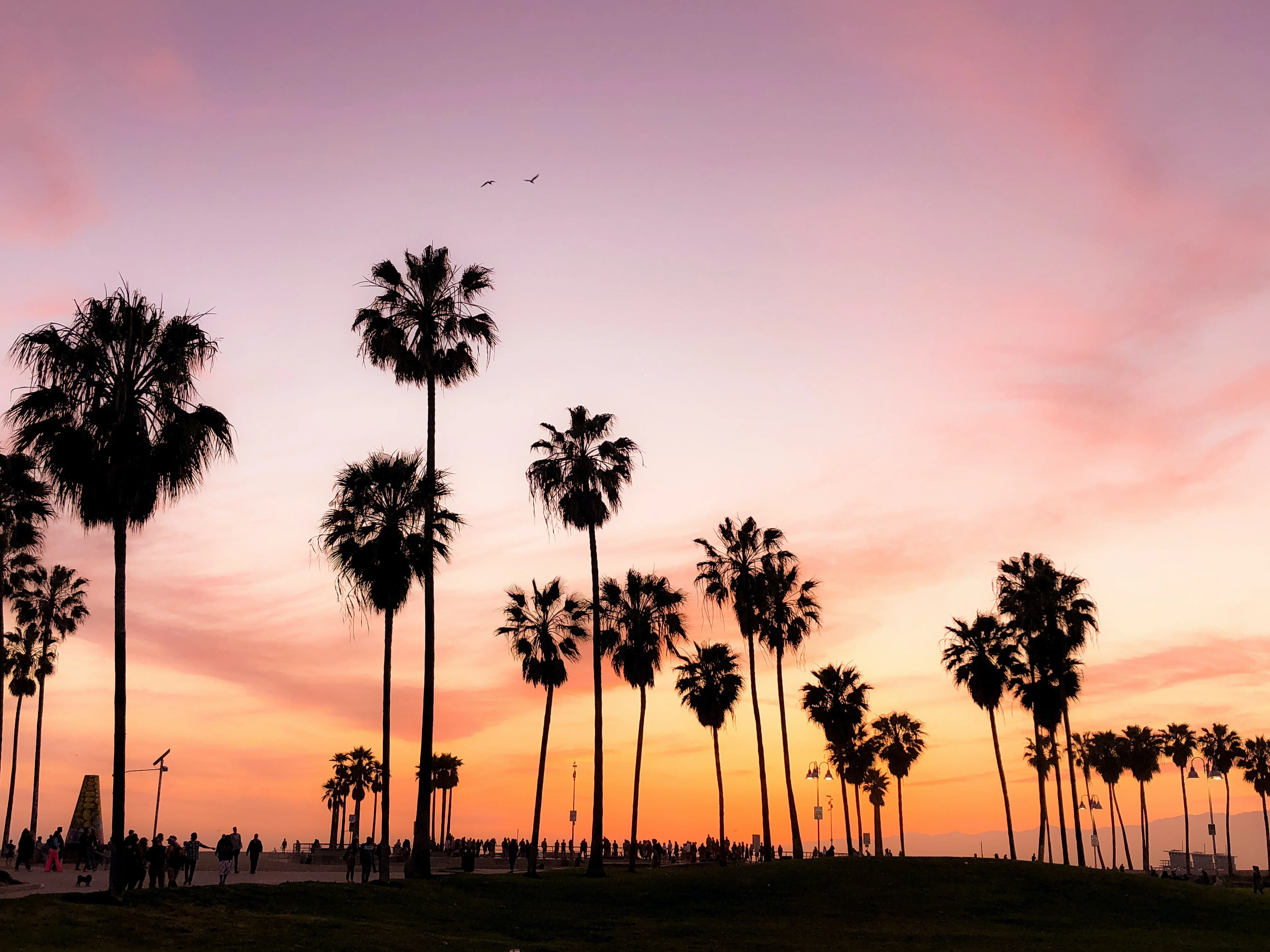 Photo by Viviana Rishe on Unsplash