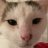 kat.gaylord