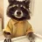 raccoon